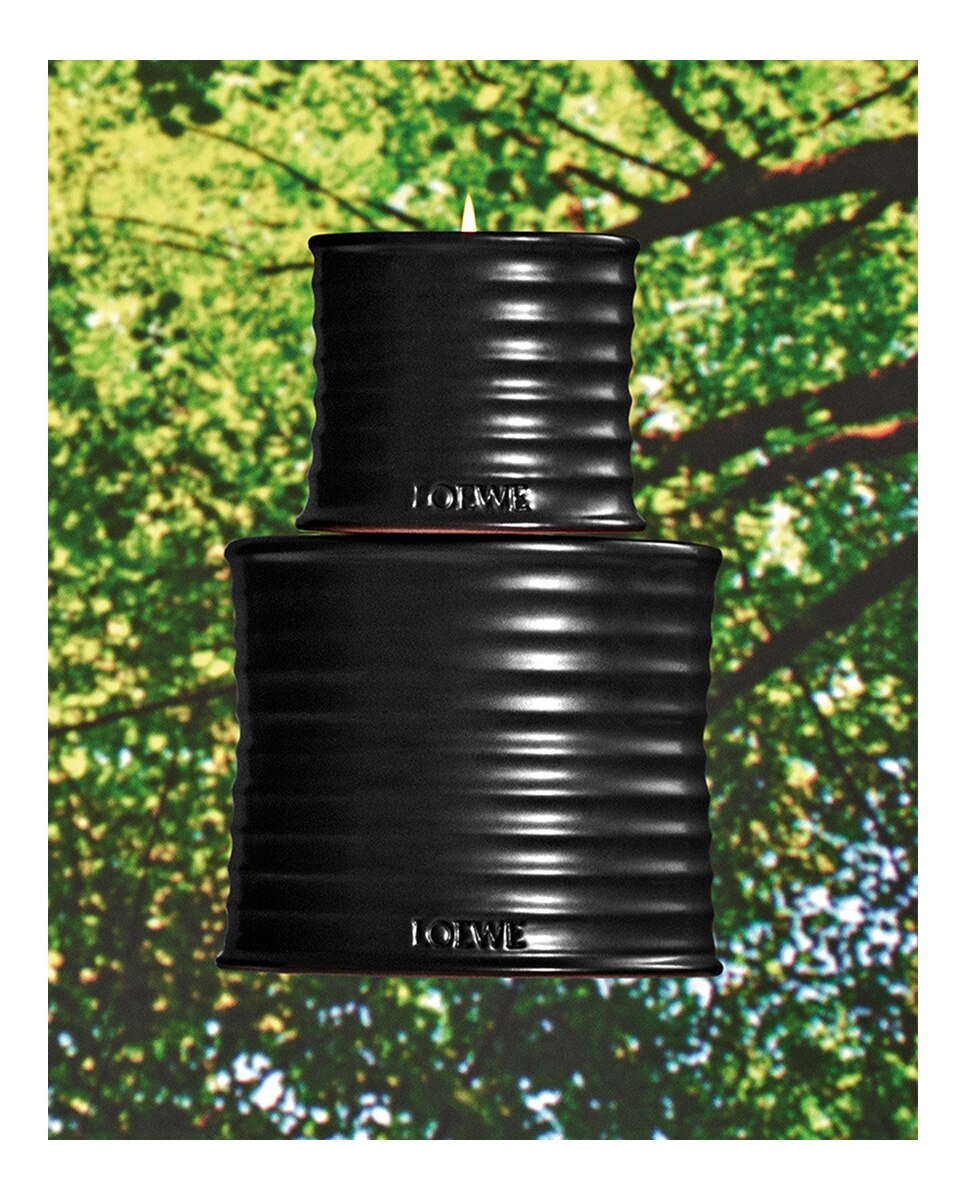 Vela Pequeña Palo Santo Loewe - 380 g 5