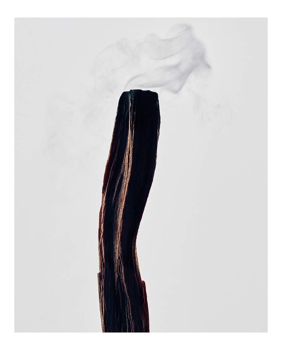 Vela Mediana Palo Santo Loewe 3