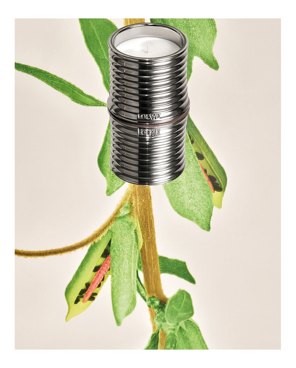 Vela Perfumada Black Sesame Midi Loewe 4