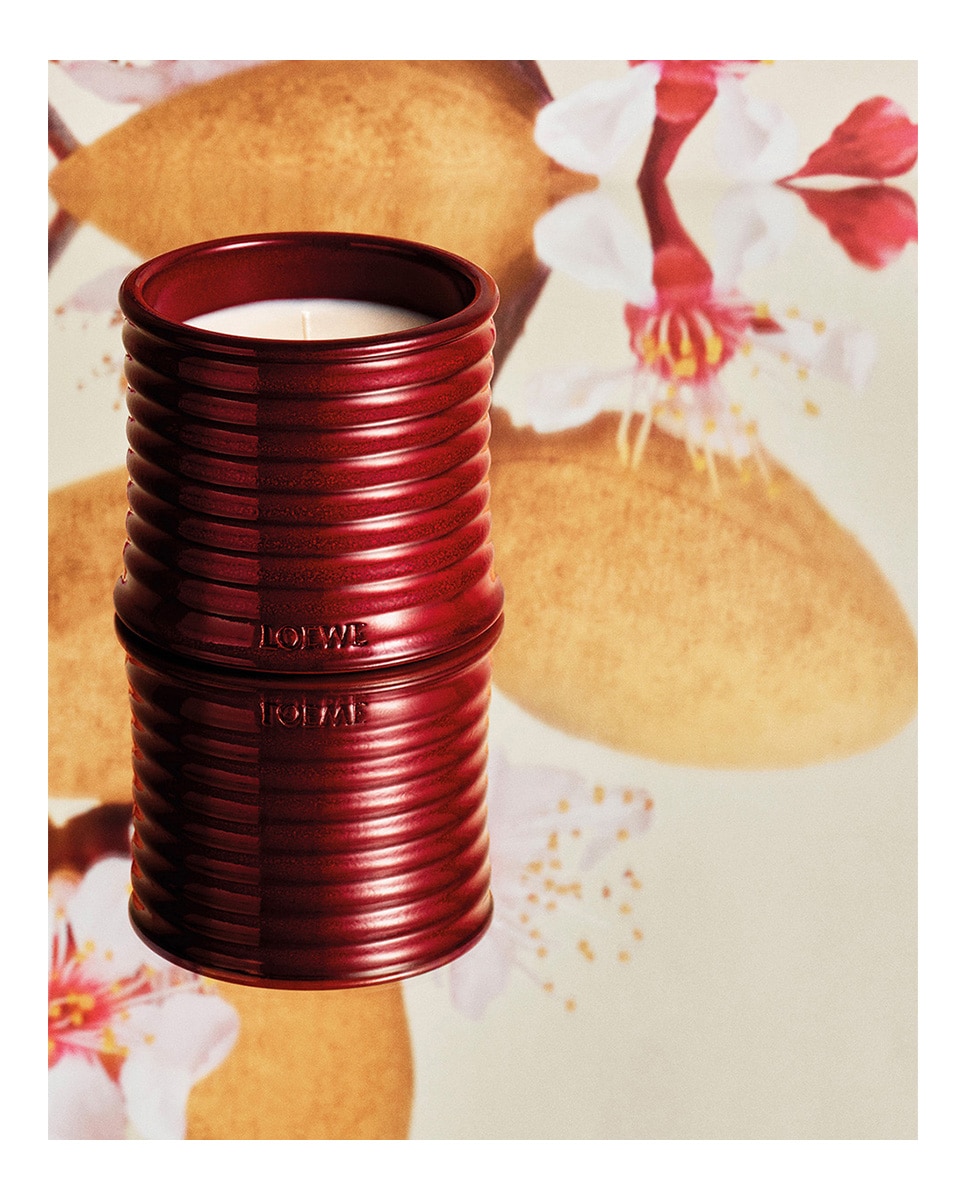 Imagen 4 de Vela Perfumada Sweet Almond Midi Loewe