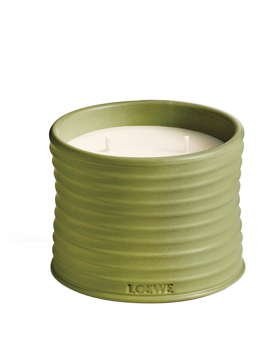 Vela Mediana Pistachio Loewe 1