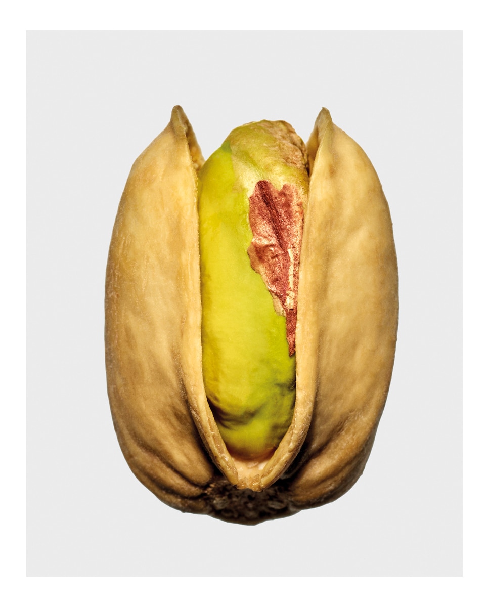 Vela Mediana Pistachio Loewe 3