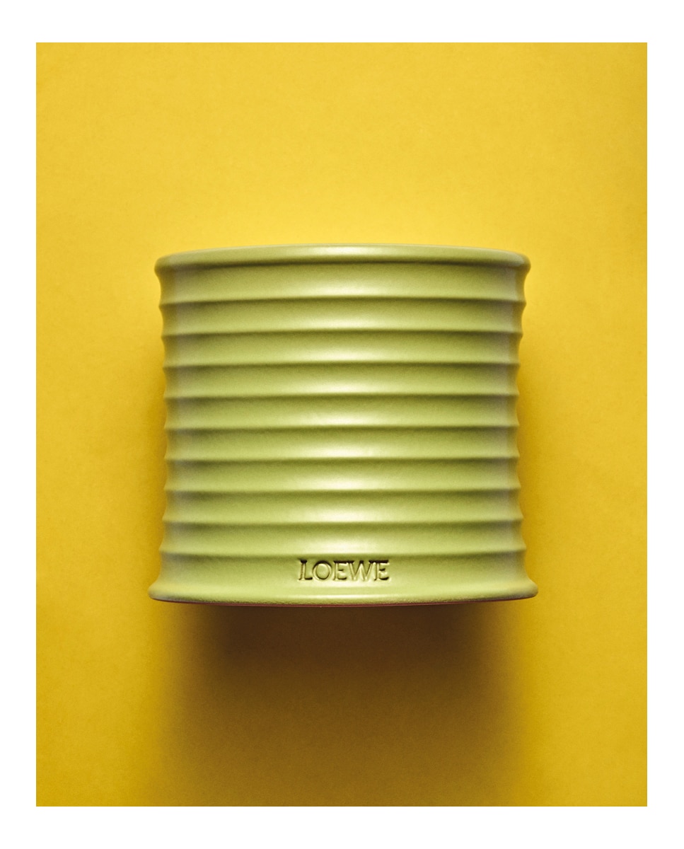 Vela Mediana Pistachio Loewe 4