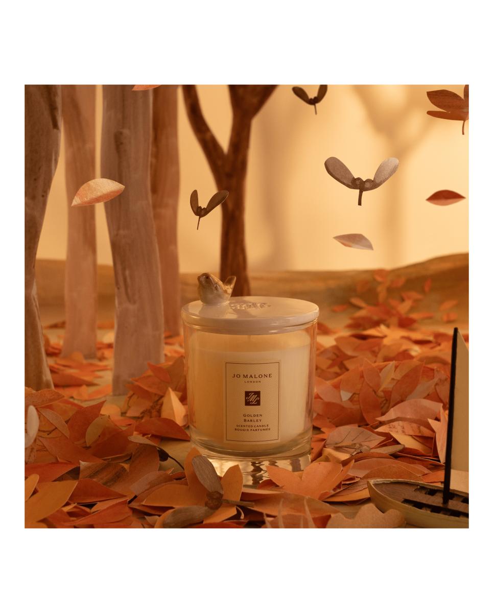 English Oak Vela Clásica - Edición Tapa Caracol 4