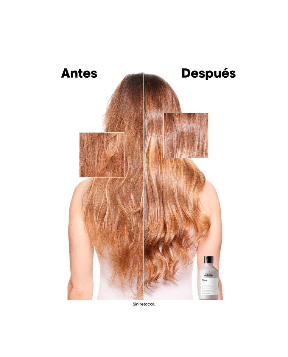Champú Silver 300 ml L'Oreal Professionnel 4