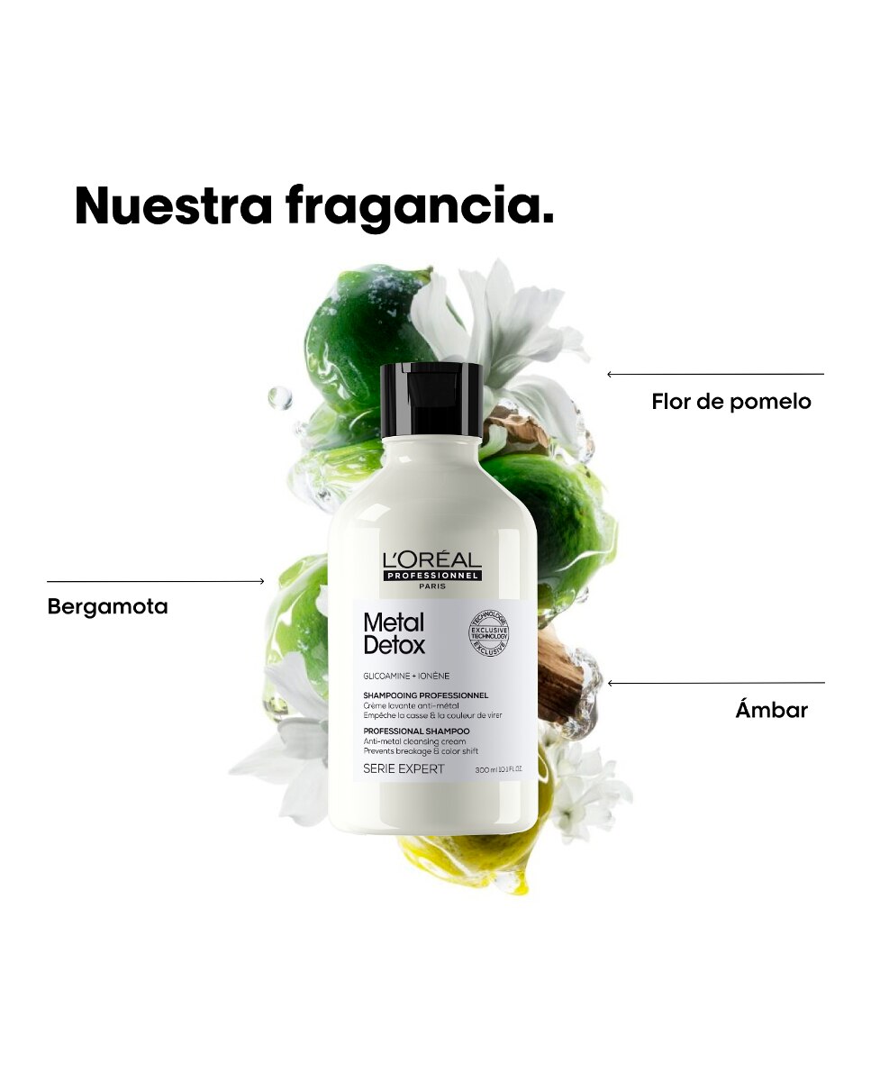 Champú Metal Detox 300 ml L'Oreal Professionnel - 300 ml 13