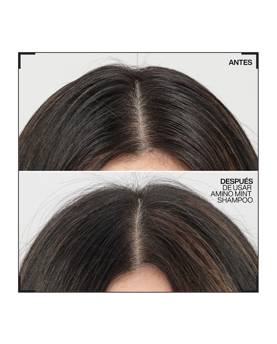 Champú Amino Mint 300 ml Redken - 300 ml 3