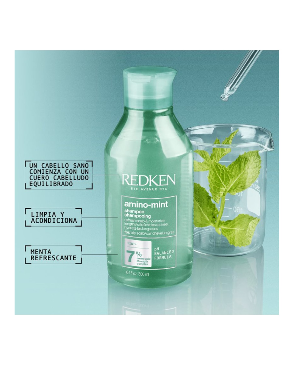 Champú Amino Mint 300 ml Redken - 300 ml 4