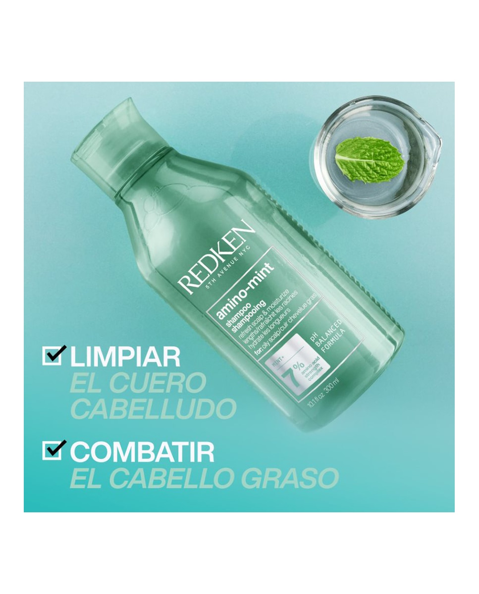 Champú Amino Mint 300 ml Redken - 300 ml 5