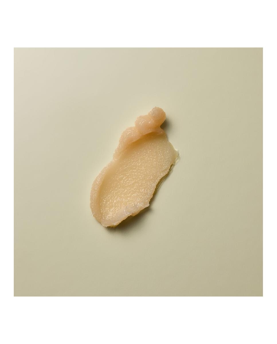 Champú Concentrado Detox 100 ml Rituals - 100 ml 3