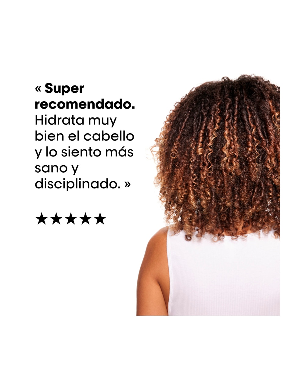 Mascarilla Absolut Repair Gold L'Oreal Professionnel - 250 ml 12