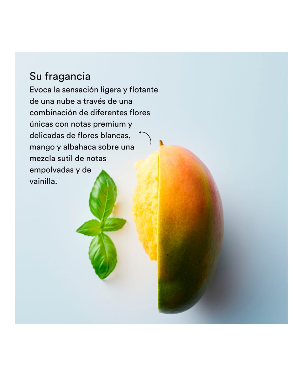 Sérum Capilar Hidratrante Suavizante 100 ml Auhtentic Beauty Concept 6