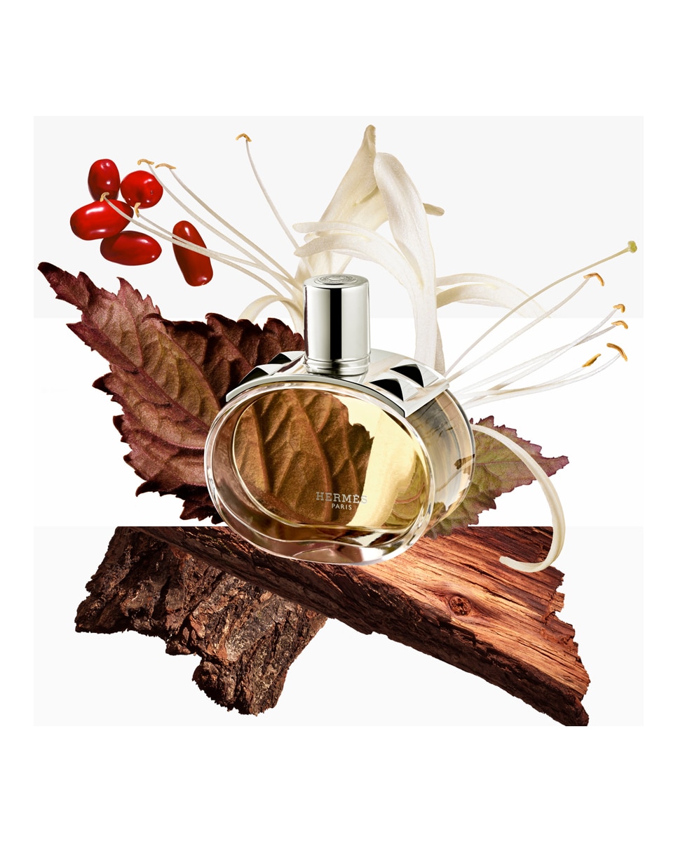 Bruma Perfumada Capilar Barénia 30 mlHermès - 30 ml 3