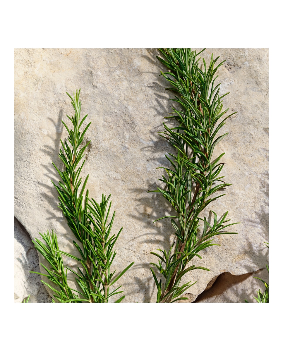 Thumbnail 4 de Dolce & Gabbana Light Blue Pour Homme 100 ml perfume