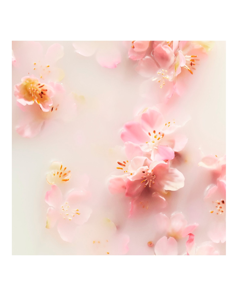 Estuche de Regalo Sakura Rituals 4