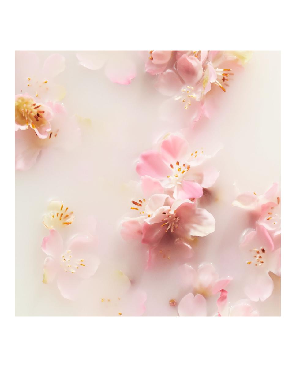 The Ritual of Sakura - Medium Gift Set 2026 6