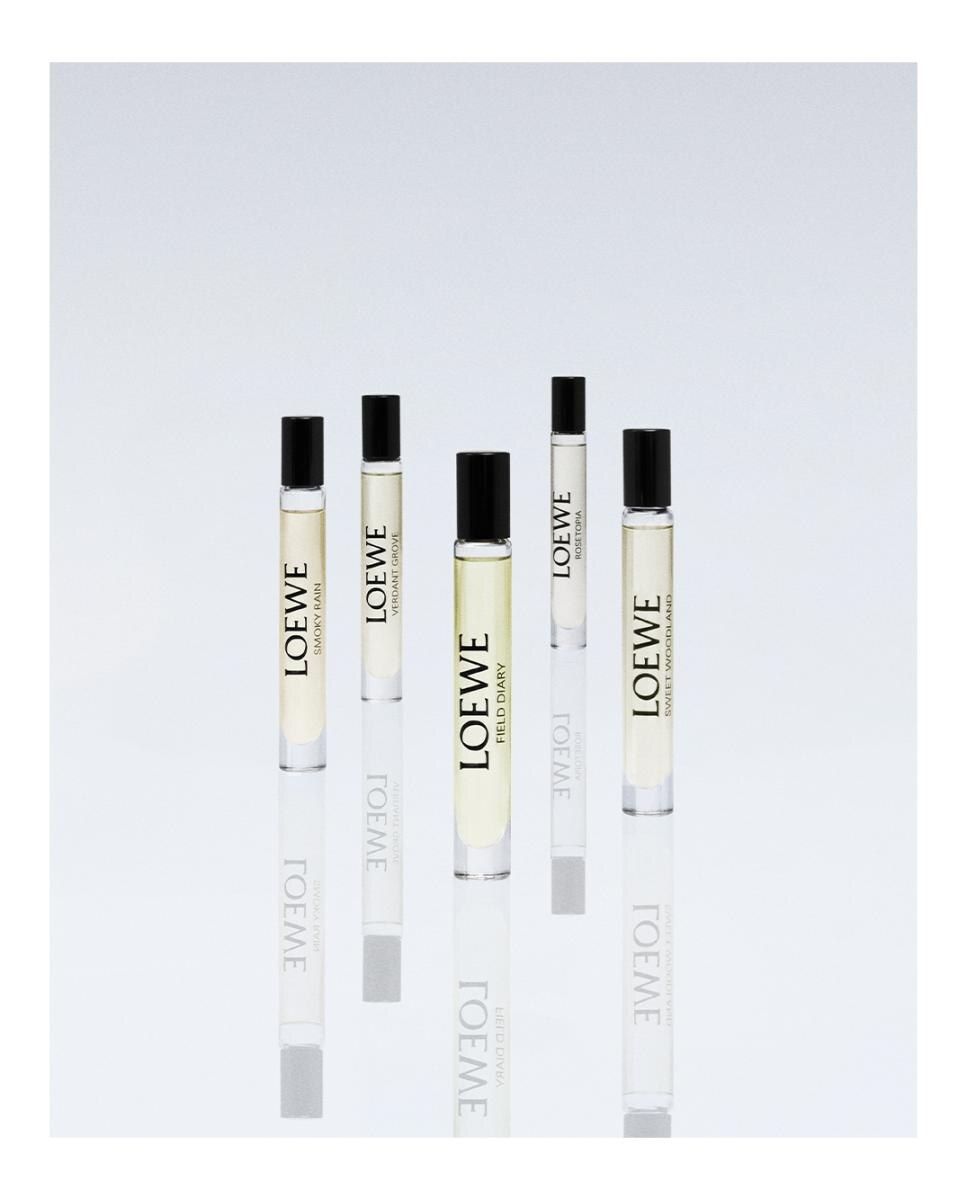 Estuche de Regalo Discovery Loewe 3