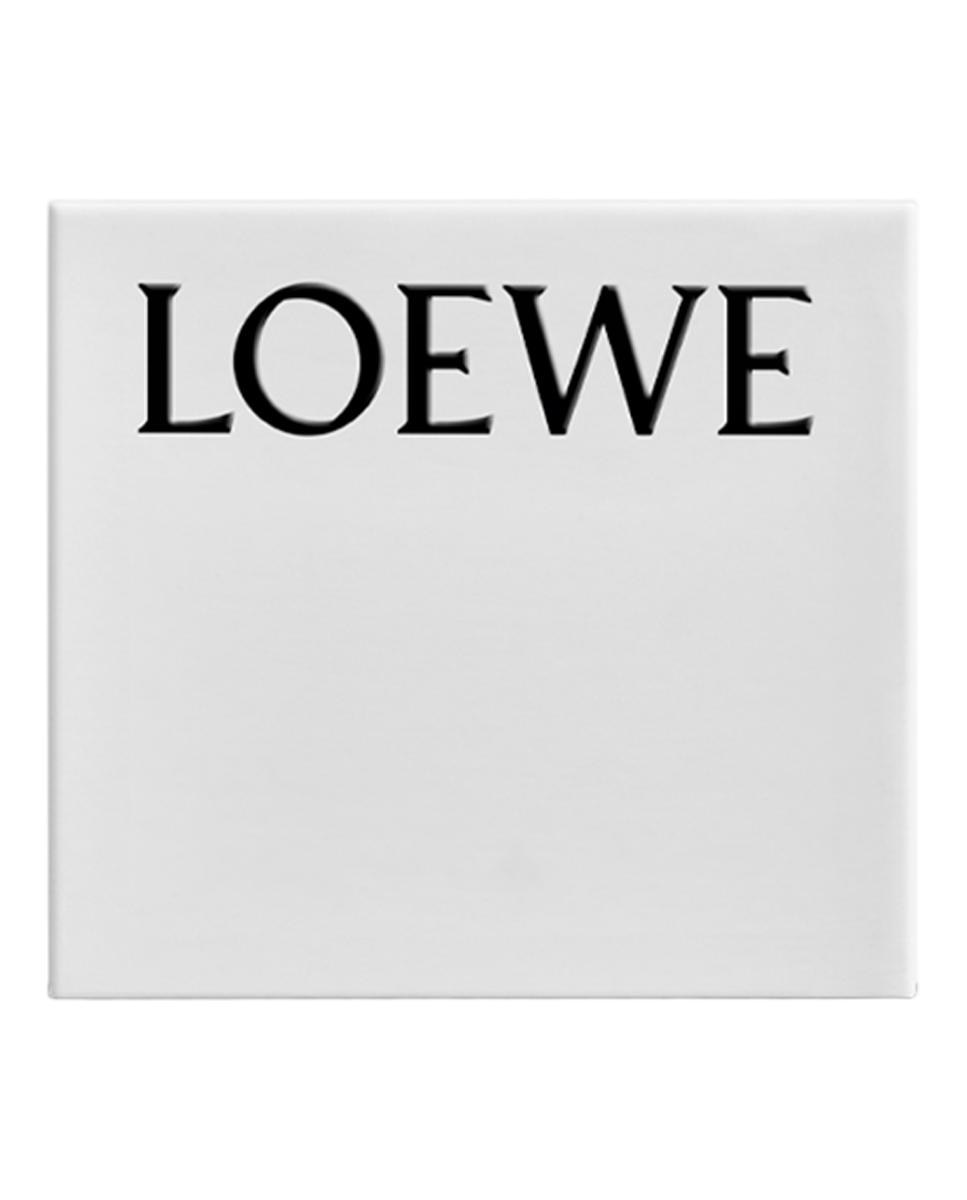Estuche de Regalo Discovery Loewe 5