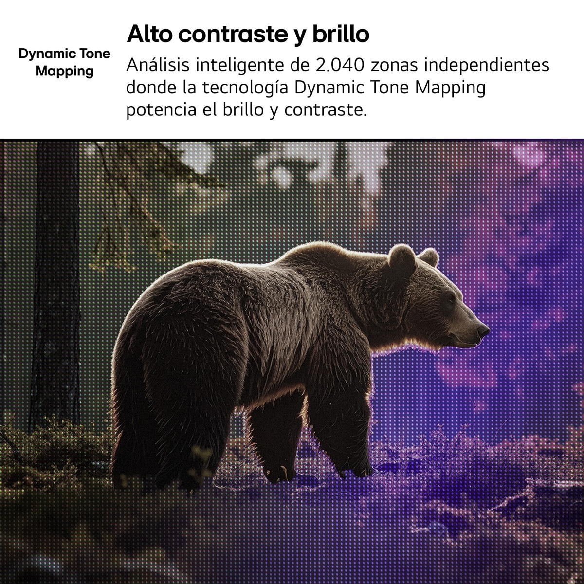 TV LED 60 cm (24") LG AI 24LB70006LA.AEU, Full HD Smart TV 2026 - Gris oscuro / Negro Gris oscuro / Negro-5