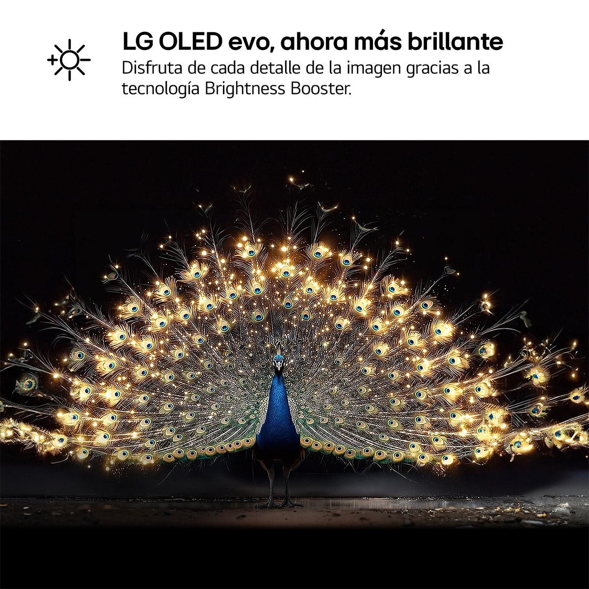 TV OLED evo 106 cm (42") LG OLED42C66LB 4K, Smart TV, AI, C6 - Gris oscuro / Negro Gris oscuro / Negro-6