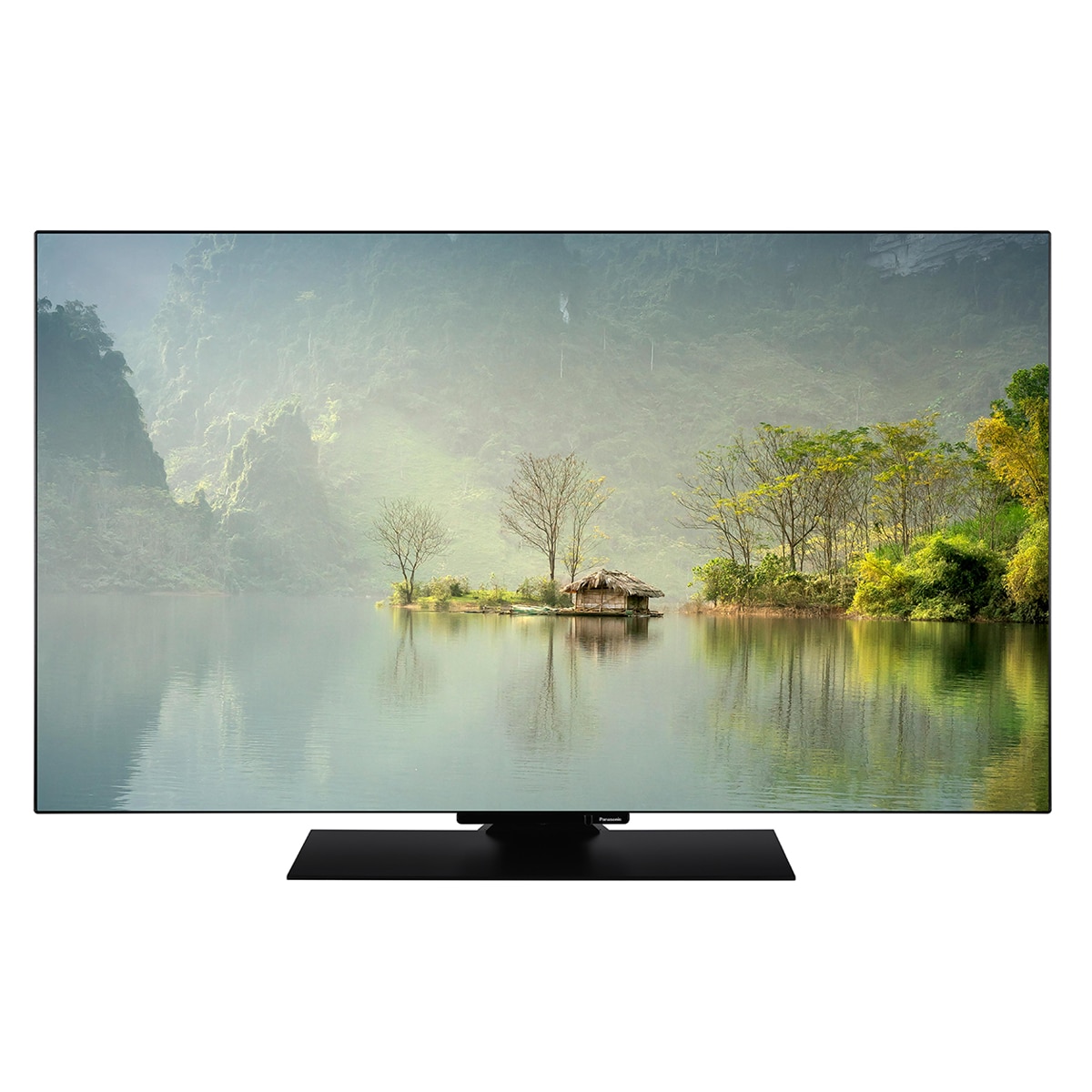 TV OLED 121 cm (48") Panasonic TV-48Z80AEZ, UHD 4K, Dolby Vision IQ, Smart TV Negro-2