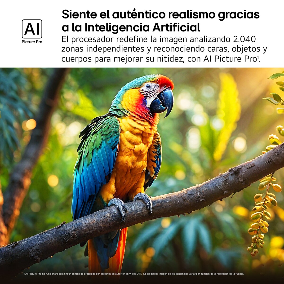 TV QNED AI 139cm (55") LG 55QNED84A6C, 4K Smart TV Negro-7