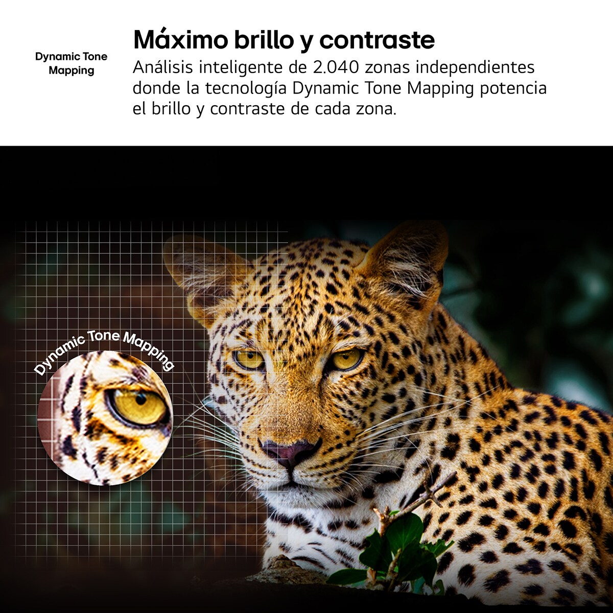 TV LED NanoCell AI 139cm (55") LG 55NANO81A6A, 4K Smart TV Negro-7