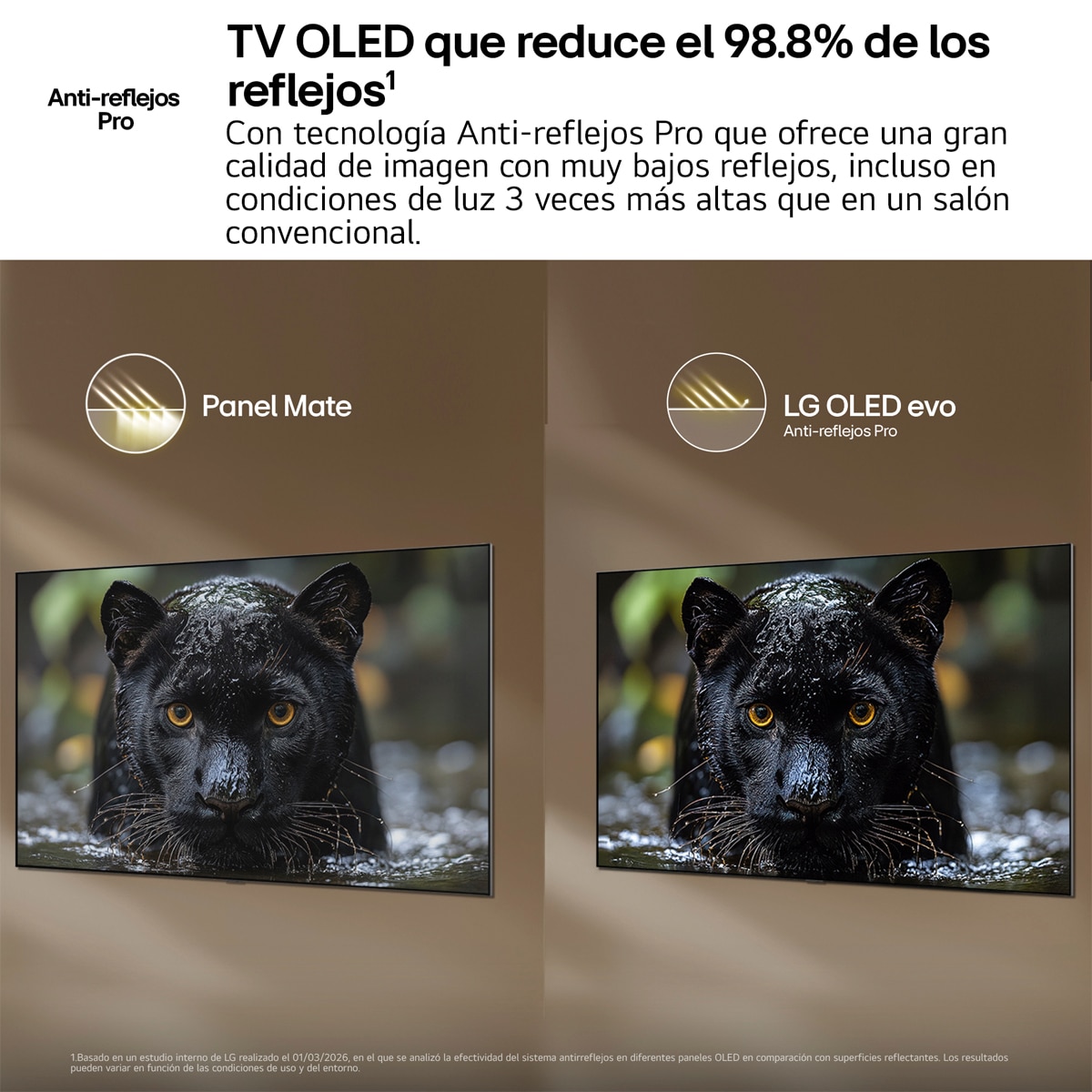 TV OLED evo 121 cm (48") LG OLED48G66LS 4K, Smart TV, AI, G6 Gris oscuro / Negro-6