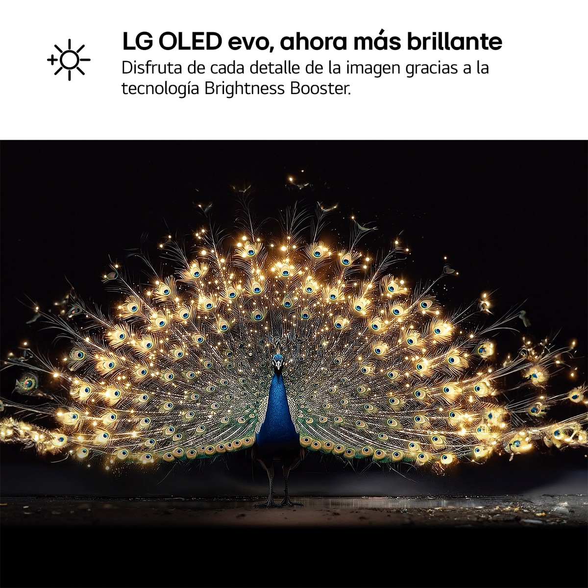 TV OLED evo 121 cm (48") LG OLED48C66LB 4K, Smart TV, AI, C6 - Gris oscuro / Negro Gris oscuro / Negro-4