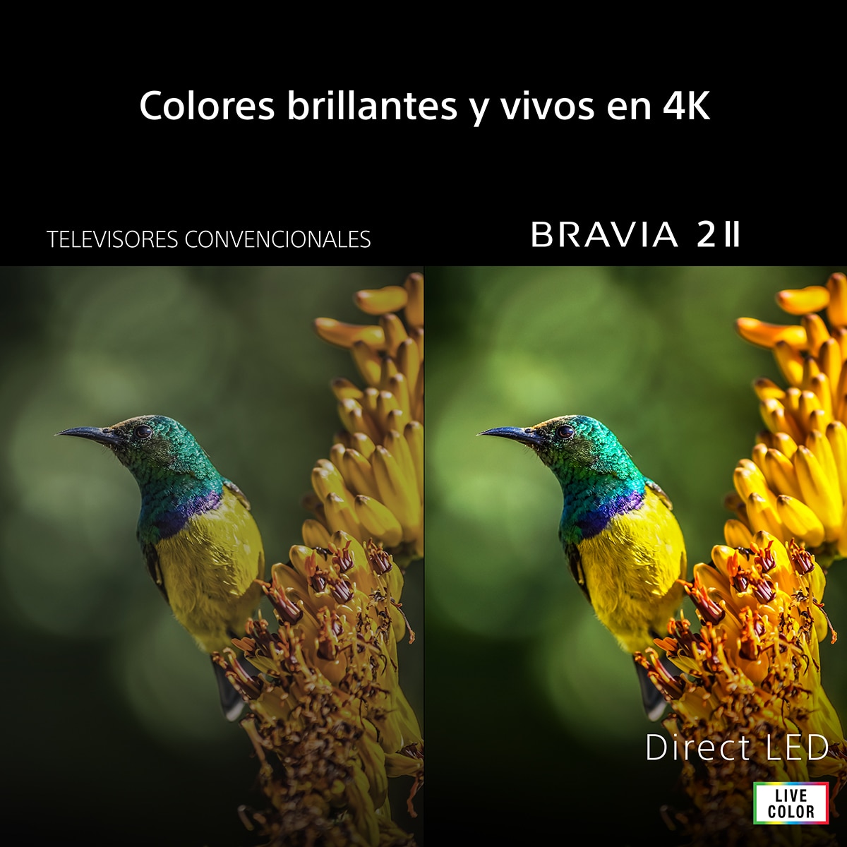 TV 50" Sony BRAVIA 2 II 50S25M2, UHD 4K HDR Direct LED, Dolby, Vision/Atmos, Google TV/Cast, Apple Airplay, Eco Dashboard, Game Menu, ideal PS5, 50 Hz Negro-3