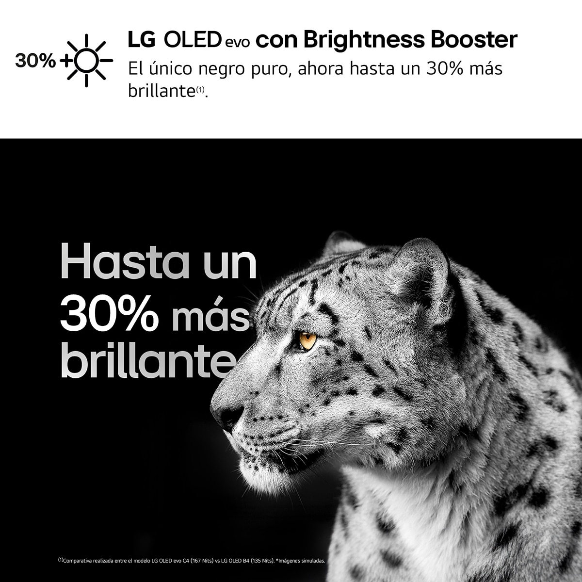 TV OLED 195cm (77") LG OLED77C46LA 4K con Smart TV WebOS24 Negro / Marrón-9