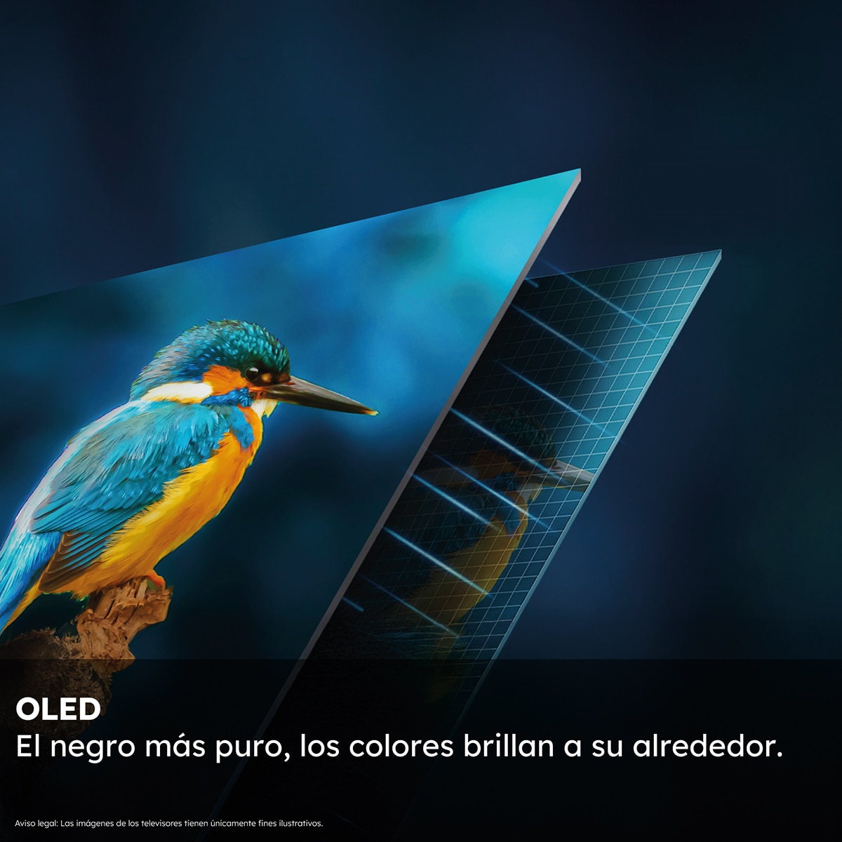 TV OLED 165 cm (65") Haier H65C95EUX, 144 Hz, UHD 4K, Smart Google TV, HDR10+, Dolby Vision, Dolby Atmos con Harman Kardon Metálico-3