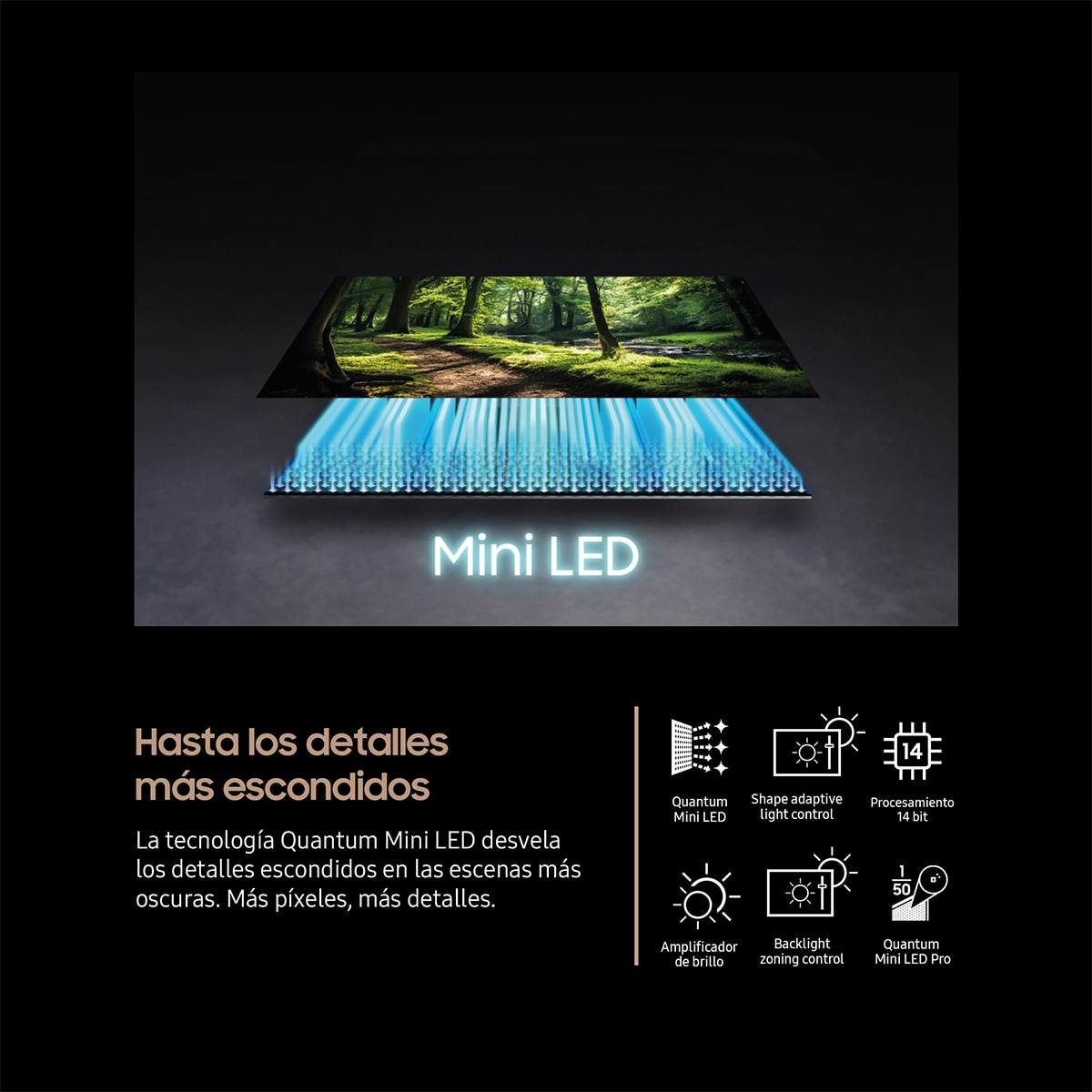 TV Neo QLED Mini LED 163cm (65") Samsung QN1EF, UHD 4K, AI Upscaling Pro con Inteligencia Artificial, Smart TV Negro-5