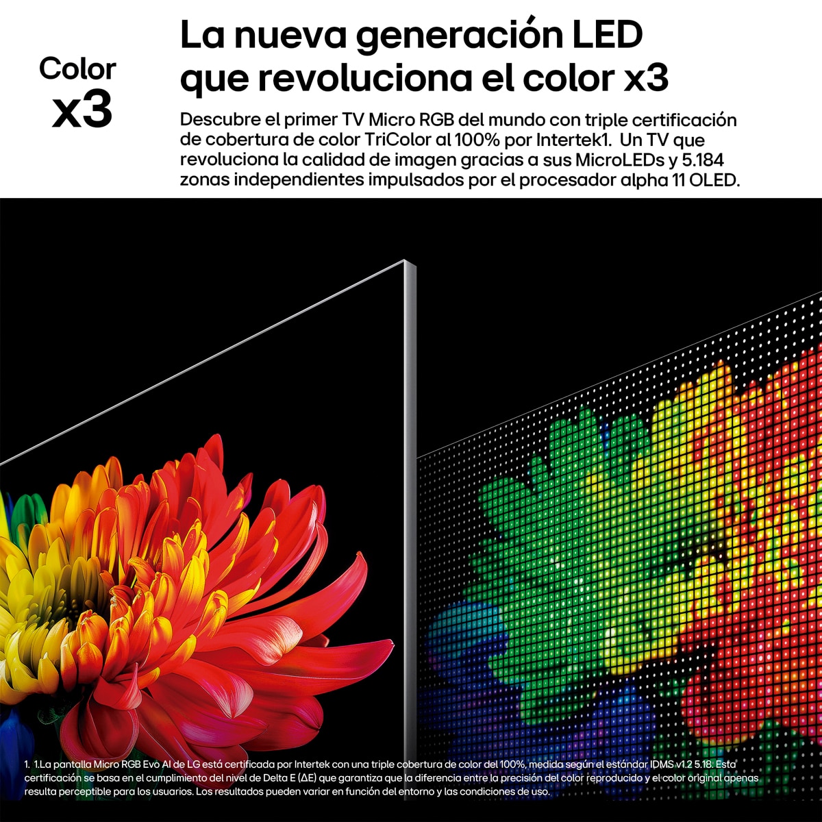 Imagen adicional del producto
