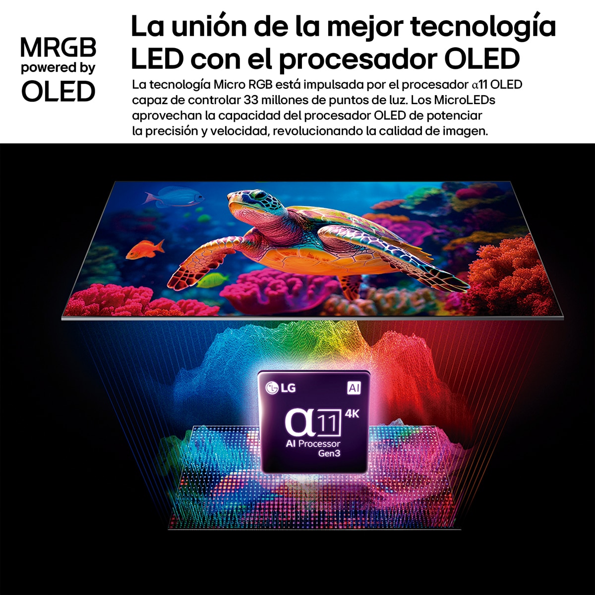 Imagen adicional del producto