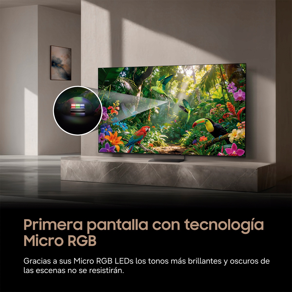 TV Micro RGB 163cm (65") Samsung TMR65R95HATXXC 4K Smart TV SIN reflejos con Vision AI - Negro Negro-5