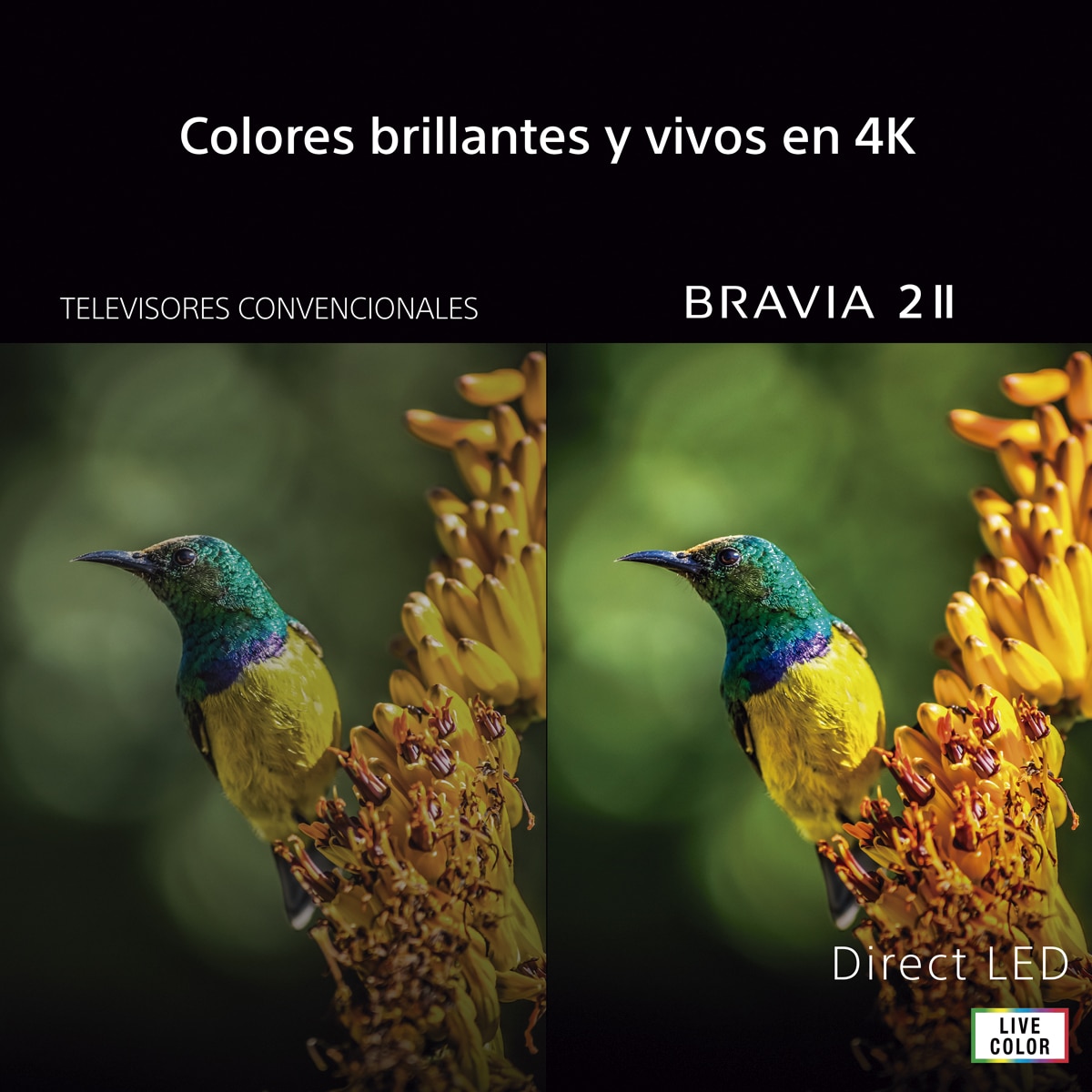 TV LED 65" (164 cm) Sony BRAV2 II  K65S25M2PB.CEI 4K Google Preto-3