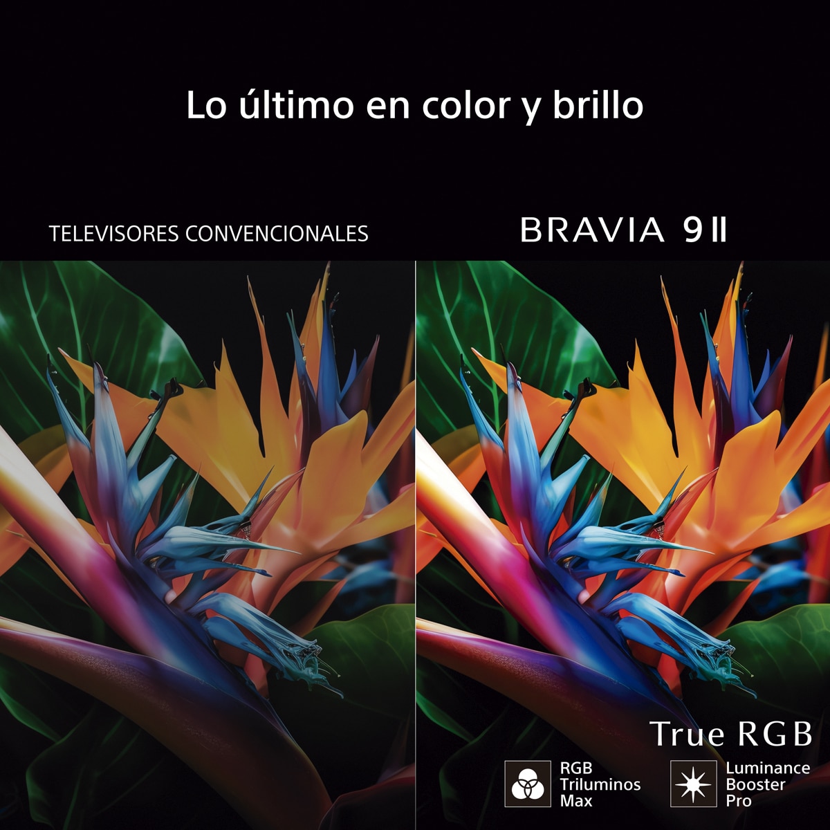 TV 85" Sony BRAVIA 9 II 85XR95M2 True RGB, LED 4K HDR, Dolby, Vision/Atmos, Google TV/Cast, Apple Airplay, Eco Dashboard, Game Menu, ideal PS5, 120 Hz - Negro Negro-4