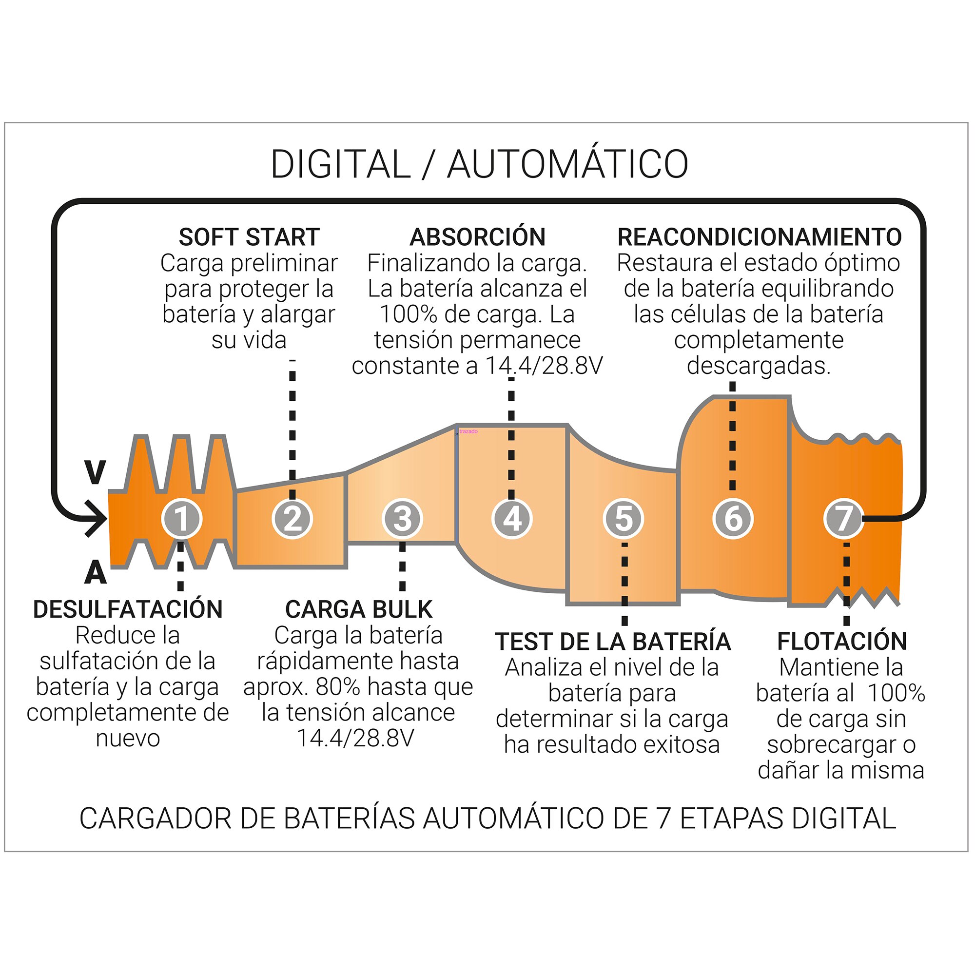 Cargador batería DBC-24 V-10 A 2