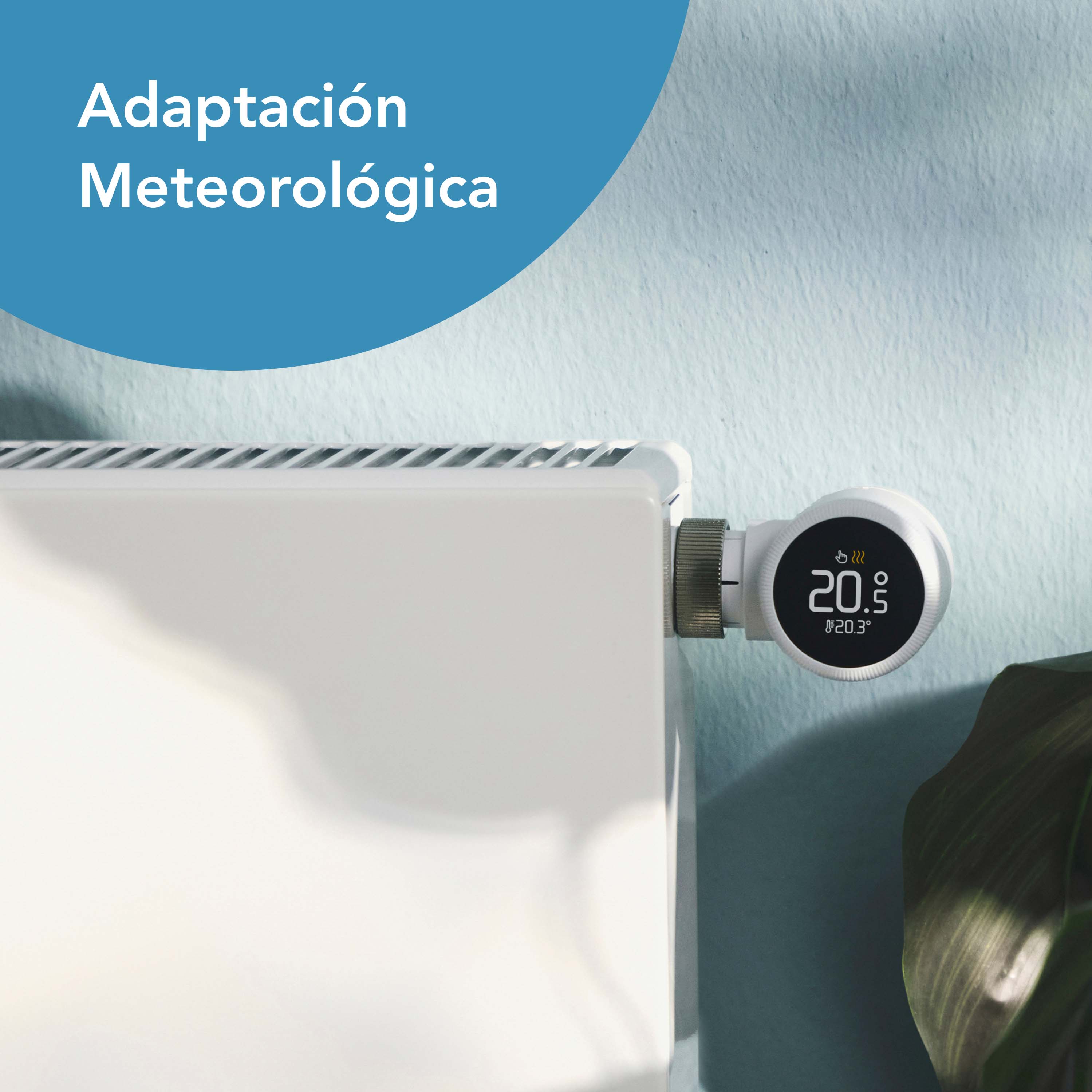 Termostato Inteligente cableado Multiroom X - Kit de Inicio
+ 2 Cabezales Termostáticos X Blanco / Negro-10