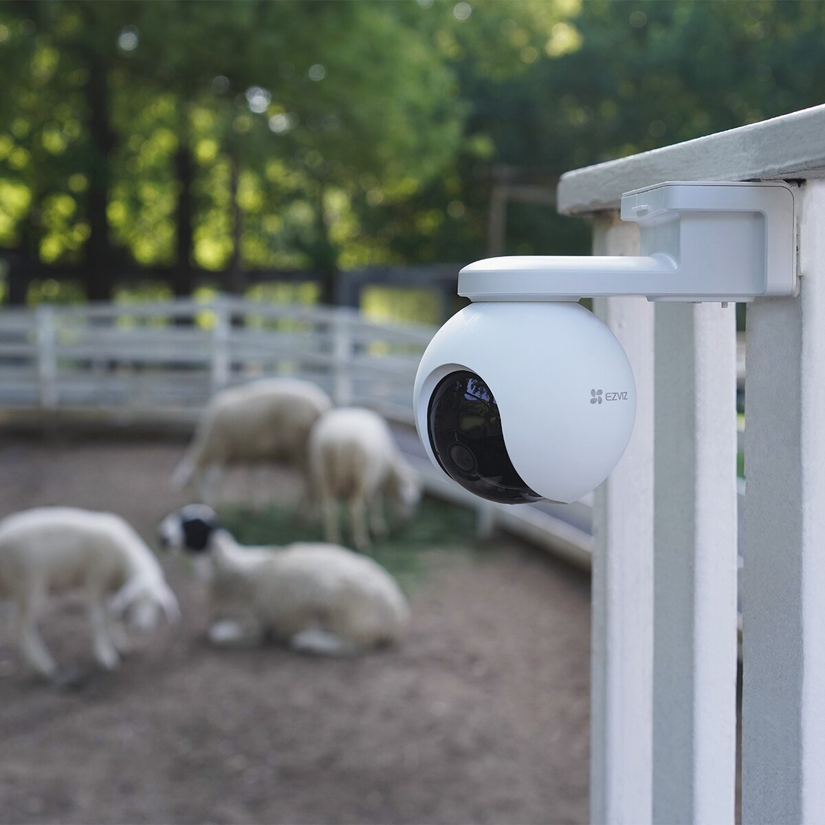 CAMARA VIGILANCIA 360º 4G EB8 Blanco-2
