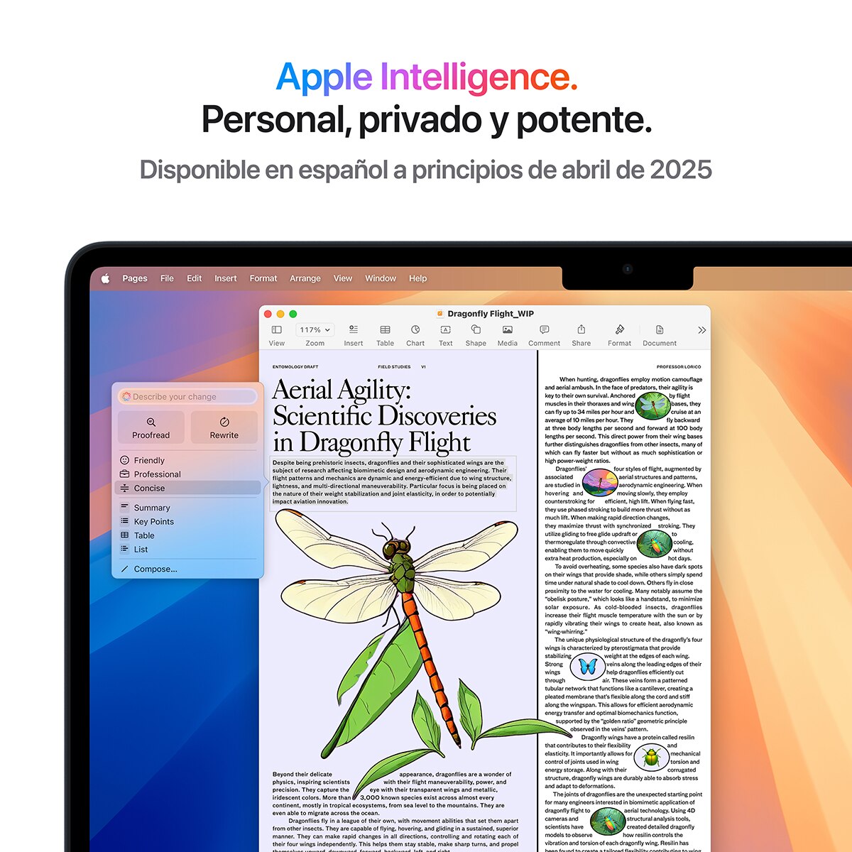 MacBook本体 MacBook Air M4 2025, RAM:16GB /SSD:256GB Apple MacBook Air 13 (2025) M4, 16GB, 256GB SSD, 13