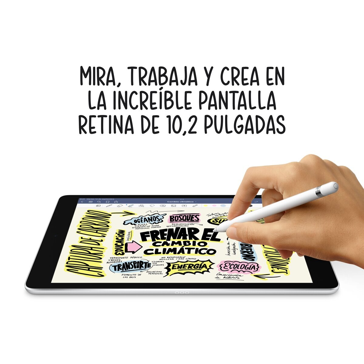 Apple iPad 10.2 (2021) Wi-Fi + Cellular (9ª Generación) Gris espacial-4