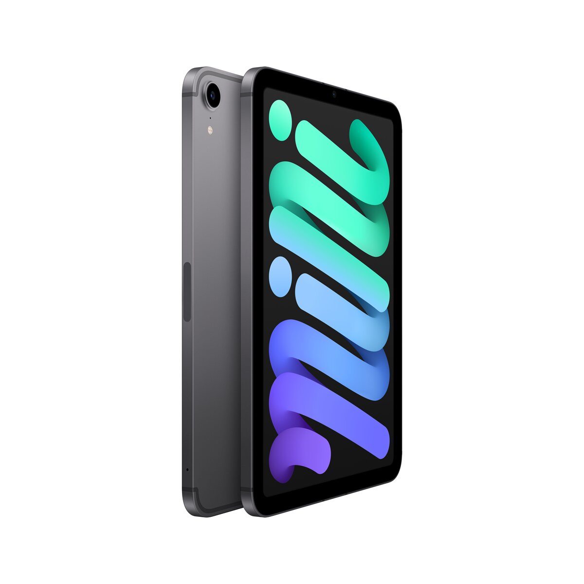 Apple iPad mini (2021) Wi-Fi + Cellular (6ª Generación) - Gris