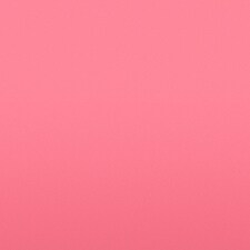 Rosa Rosa