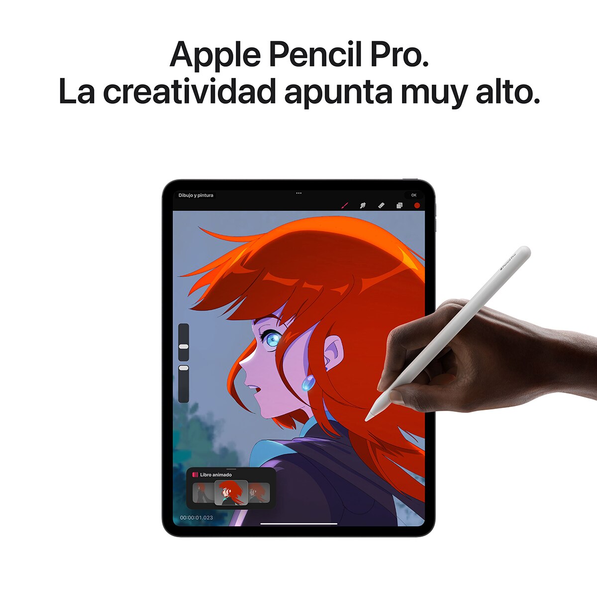 Apple iPad Pro 13" (2024) M4, Wi-Fi - Plata vidrio estándar 1 TB + 16 GB RAM Plata vidrio estándar-9