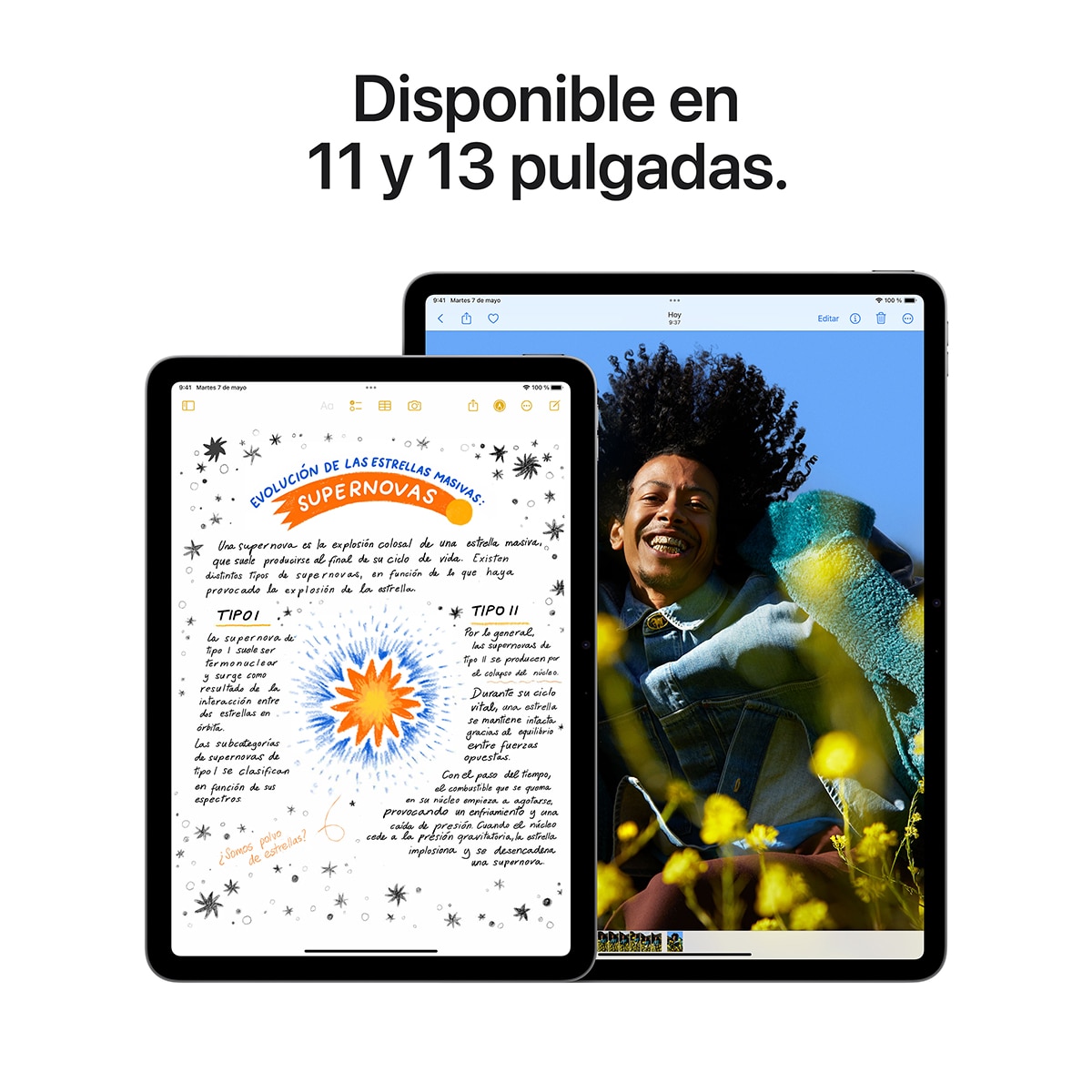 Apple iPad Air 13" (2024) M2, Wi-Fi - Púrpura 1 TB + 8 GB RAM Púrpura-5