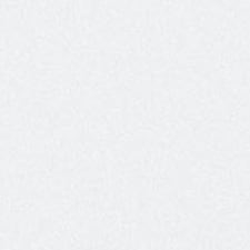 Plata vidrio nanotexturizado