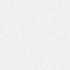 Vidro Standard - Prateado