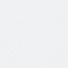 Plata vidrio nanotexturizado